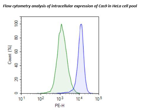 Cas9-Expressing HeLa Cell Pool – Figure 1 of 1