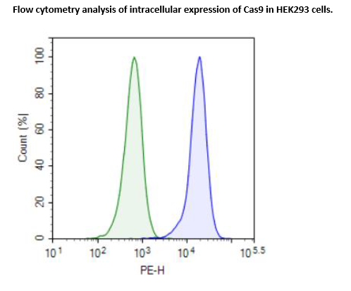 Cas9-Expressing HEK293 Cell Line – Figure 1 of 1