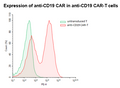 Anti-CD19 CAR-T Cells – Figure 1 of 1