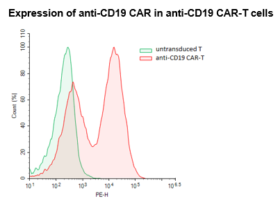 Anti-CD19 CAR-T Cells – Figure 1 of 1