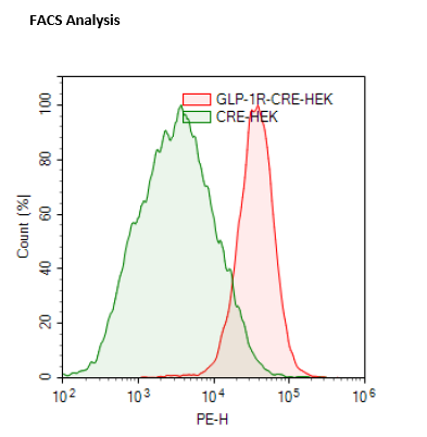 GLP-1R/CRE Luciferase Reporter HEK293 Cell Line – Figure 1 of 3