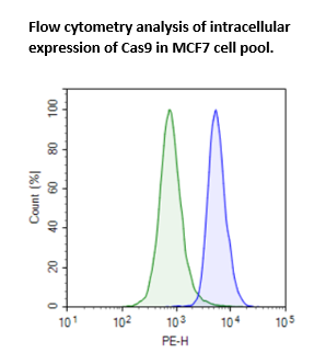 Cas9-Expressing MCF7 Cell Pool – Figure 1 of 1