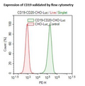 CD19 / CD20 / Firefly Luciferase CHO Cell Line – Figure 1 of 3