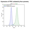Transferrin Receptor Protein-1 (TFRC) HEK293 Cell Line – Figure 1 of 1