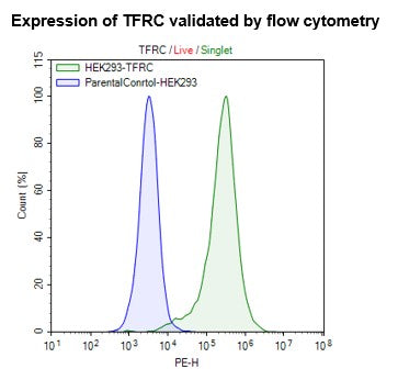 Transferrin Receptor Protein-1 (TFRC) HEK293 Cell Line – Figure 1 of 1