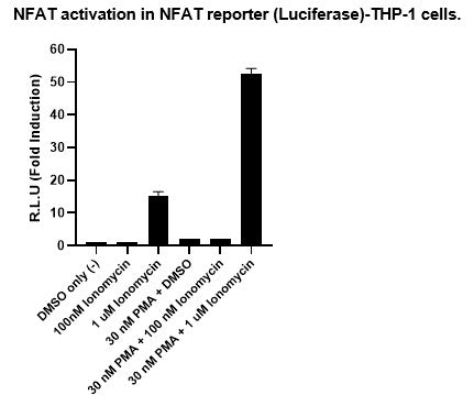 NFAT Reporter (Luciferase) - THP-1 Cell Line – Figure 1 of 2