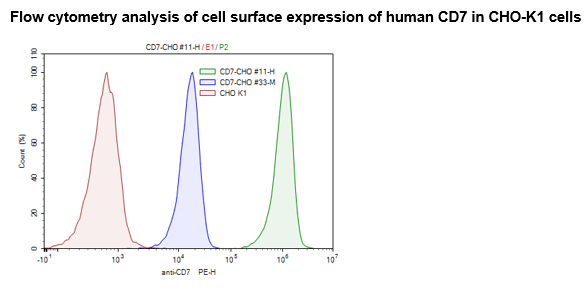 CD7 CHO Cell Line – Figure 1 of 1