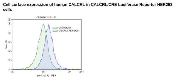 CGRPR/CRE Luciferase Reporter HEK293 Cell Line – Figure 1 of 3