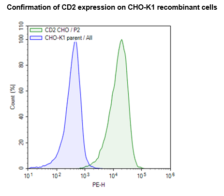 CD2 CHO Cell Line – Figure 1 of 1