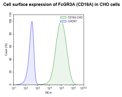FcGR3A (CD16A) CHO Cell Line – Figure 1 of 1