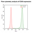 CD43 CHO Cell Line – Figure 1 of 1