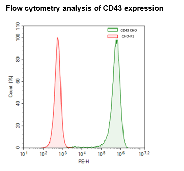 CD43 CHO Cell Line – Figure 1 of 1