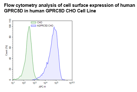 GPRC5D CHO Cell Line – Figure 1 of 1