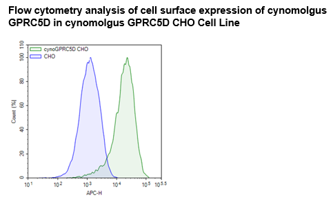 GPRC5D (Cynomolgus) CHO Cell Line – Figure 1 of 1