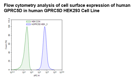GPRC5D HEK293 Cell Line – Figure 1 of 1