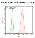 Glycophorin A (CD235a) CHO Cell Line – Figure 1 of 1