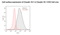 Claudin-18 Isoform 1 CHO Cell Line – Figure 1 of 1