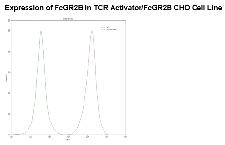 TCR Activator/FcGR2B CHO Cell Line – Figure 1 of 3