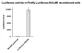 Firefly Luciferase NALM6 Cell Line – Figure 1 of 1