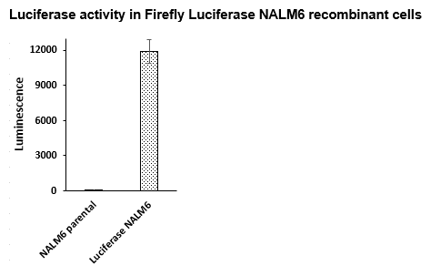Firefly Luciferase NALM6 Cell Line – Figure 1 of 1