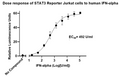 STAT3 Reporter Jurkat Cell Line – Figure 1 of 2