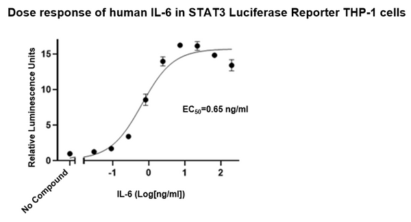 STAT3 Luciferase Reporter THP-1 Cell Line – Figure 1 of 2