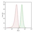 CRISPRa (SAM) MCF7 Cell Line – Figure 1 of 1