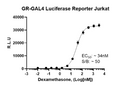 GR-GAL4 Luciferase Reporter Jurkat Cell Line – Figure 1 of 2
