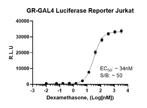 GR-GAL4 Luciferase Reporter Jurkat Cell Line – Figure 1 of 2