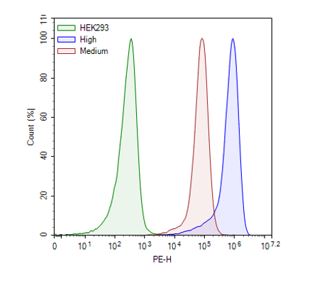 CD36 HEK293 Cell Line – Figure 1 of 1