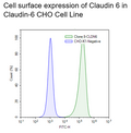 Claudin-6 CHO Cell Line – Figure 1 of 1