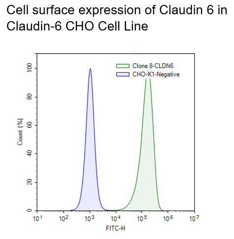 Claudin-6 CHO Cell Line – Figure 1 of 1