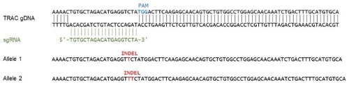 TCR Knockout Jurkat Cell Line – Figure 1 of 3