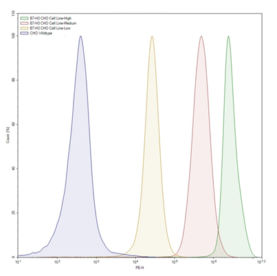B7-H3 CHO Cell Line – Figure 1 of 1
