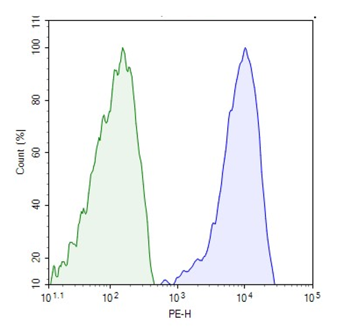 TCR/B2M Knockout Jurkat Cell Line – Figure 1 of 5