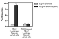 TCR Knockout NFAT-Luciferase Reporter Jurkat Cell Line – Figure 1 of 4