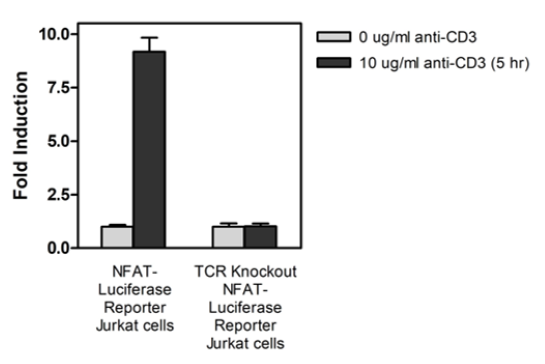 TCR Knockout NFAT-Luciferase Reporter Jurkat Cell Line – Figure 1 of 4