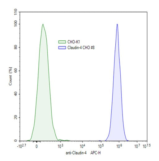 Claudin-4 CHO Cell Line – Figure 1 of 1