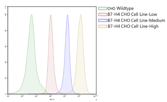 B7-H4 CHO Cell Line – Figure 1 of 1