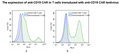 Anti-CD19 CAR Lentivirus (CD19 ScFv-CD8-4-1BB-CD3ζ) – Figure 1 of 5