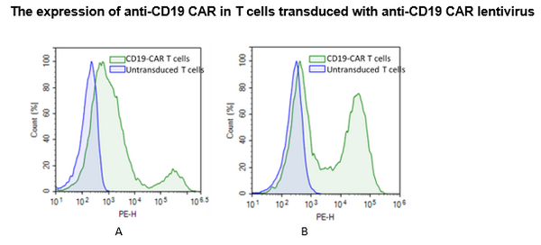 Anti-CD19 CAR Lentivirus (CD19 ScFv-CD8-4-1BB-CD3ζ) – Figure 1 of 5