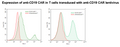 Anti-CD19 CAR Lentivirus (CD19 ScFv-CD8-4-1BB-CD3ζ; SIN Vector) – Figure 1 of 3
