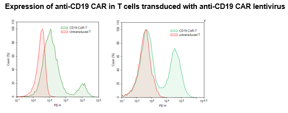 Anti-CD19 CAR Lentivirus (CD19 ScFv-CD8-4-1BB-CD3ζ; SIN Vector) – Figure 1 of 3