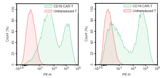 Anti-CD19 CAR Lentivirus (CD19 ScFv-CD8-4-1BB-CD3ζ, PuroR) – Figure 1 of 4