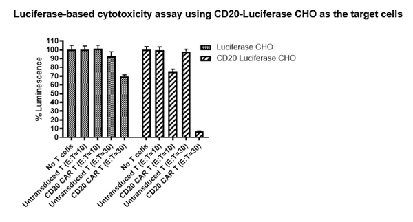 Anti-CD20 CAR Lentivirus (Clone Leu-16 ScFv-CD8-4-1BB-CD3ζ) – Figure 1 of 4