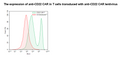 Anti-CD22 CAR Lentivirus (Clone m971 ScFv-CD8-4-1BB-CD3ζ) – Figure 1 of 4