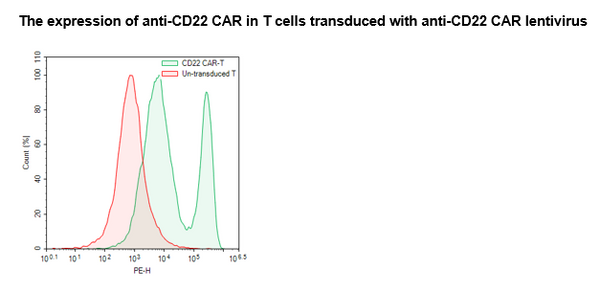 Anti-CD22 CAR Lentivirus (Clone m971 ScFv-CD8-4-1BB-CD3ζ) – Figure 1 of 4