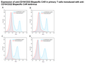 Anti-CD19/CD22 Bispecific CAR Lentivirus (Clones FMC63/m971 ScFv-CD8-4-1BB-CD3ζ) – Figure 1 of 3