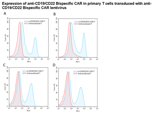 Anti-CD19/CD22 Bispecific CAR Lentivirus (Clones FMC63/m971 ScFv-CD8-4-1BB-CD3ζ) – Figure 1 of 3