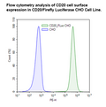 CD20/Firefly Luciferase CHO Cell Line – Figure 1 of 2